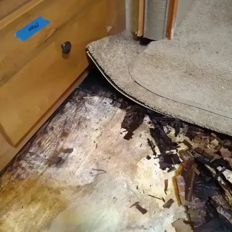 Wood Floor Water Damage in Millbrook, AL